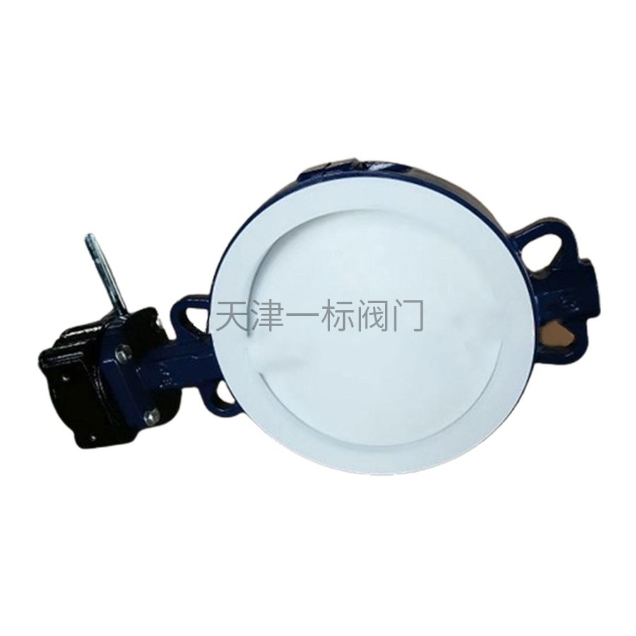 67四氟蝶阀.jpg