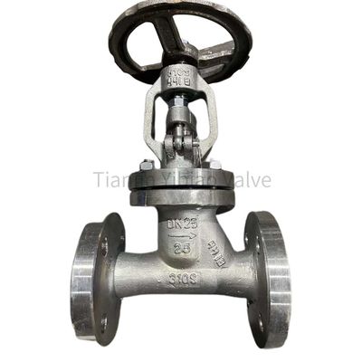 310S Globe Valve