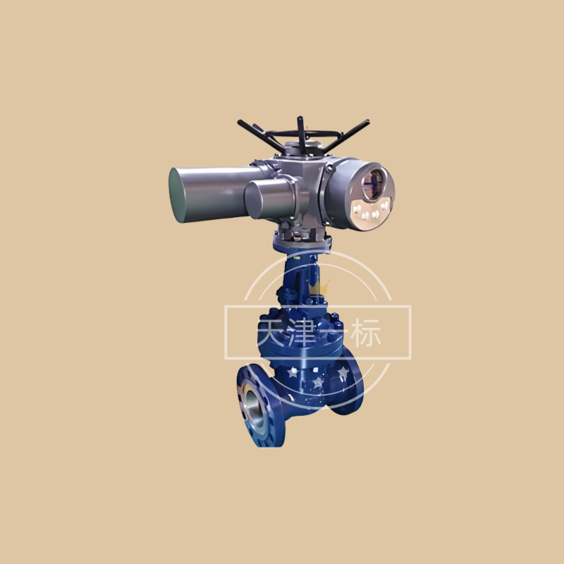 电动高压闸阀 Z941Y.png